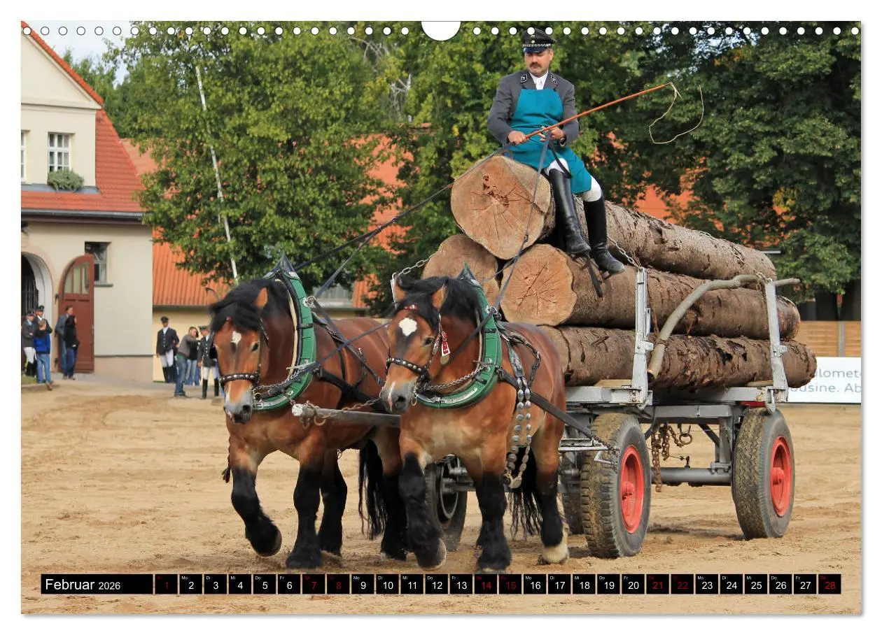 Bild: 9783457873960 | Schwere Pferde 2026 (Wandkalender 2026 DIN A3 quer), CALVENDO...