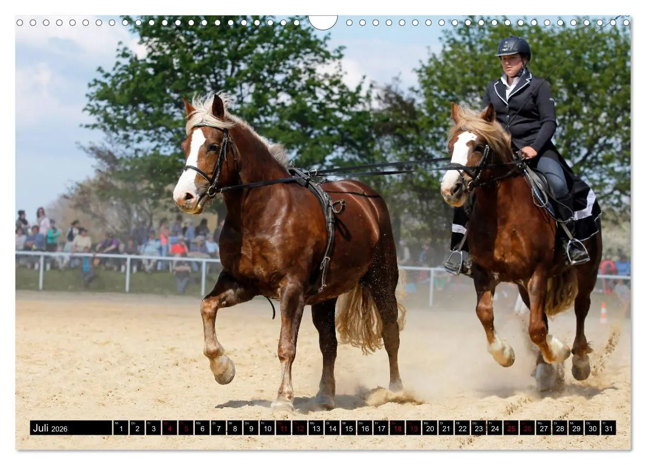 Bild: 9783457873960 | Schwere Pferde 2026 (Wandkalender 2026 DIN A3 quer), CALVENDO...