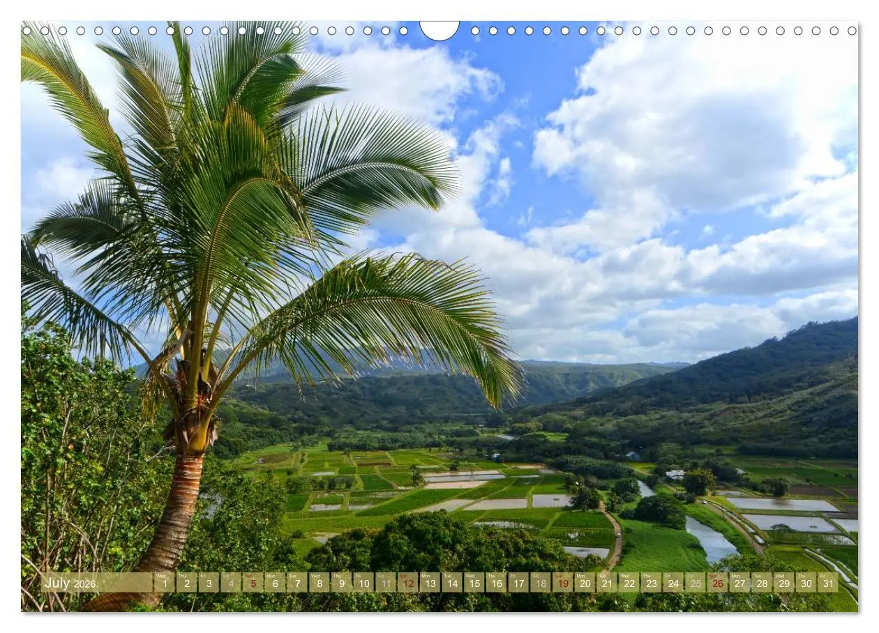 Bild: 9783516583960 | The Paradise of Hawaii (Wall Calendar 2026 DIN A3 landscape),...
