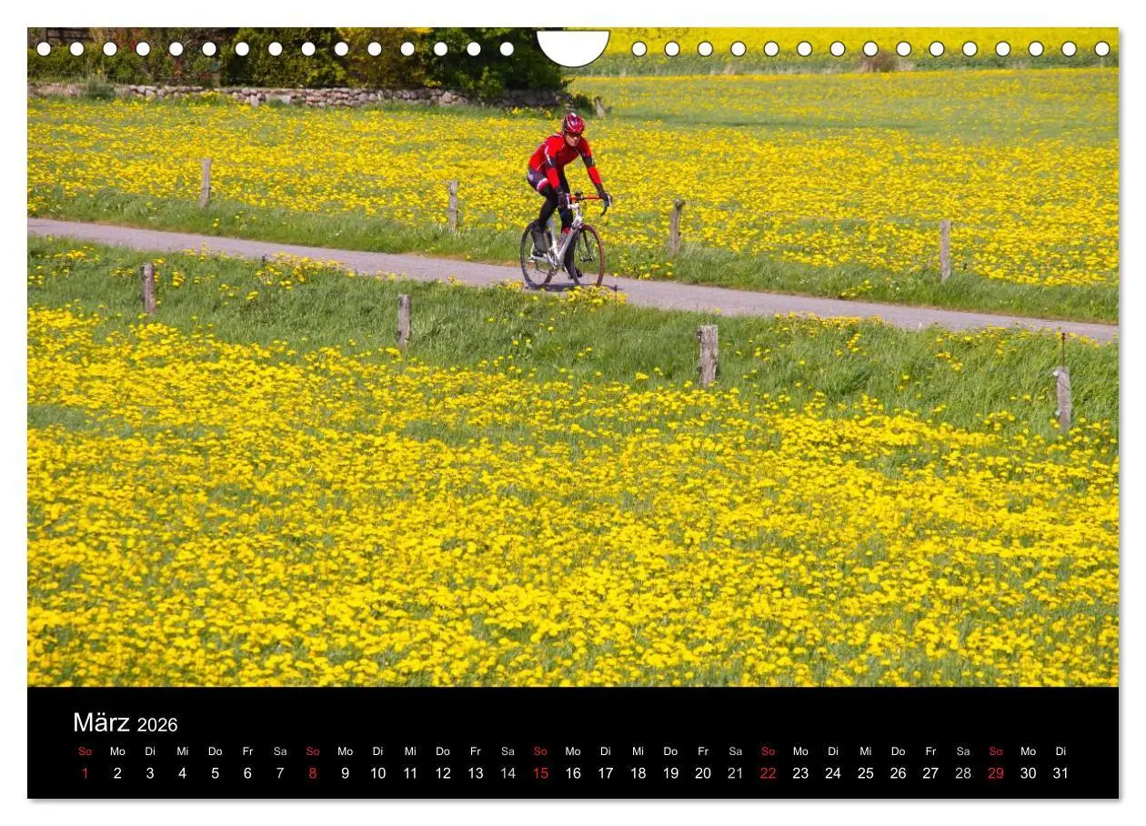 Bild: 9783516094060 | Roadbike Dreams. Traumstraßen in Europa (Wandkalender 2026 DIN A4...