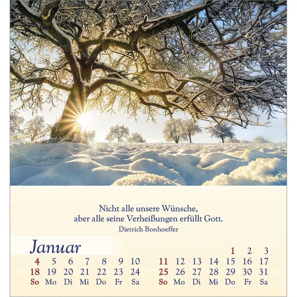 Bild: 9783754834060 | Licht für deine Seele 2026 | Kalender | Spiralbindung | Deutsch | 2026