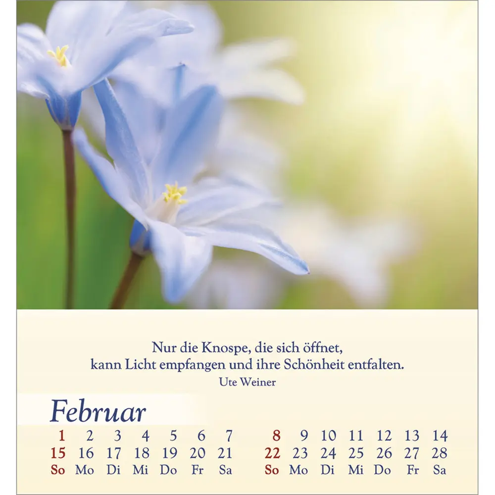 Bild: 9783754834060 | Licht für deine Seele 2026 | Kalender | Spiralbindung | Deutsch | 2026