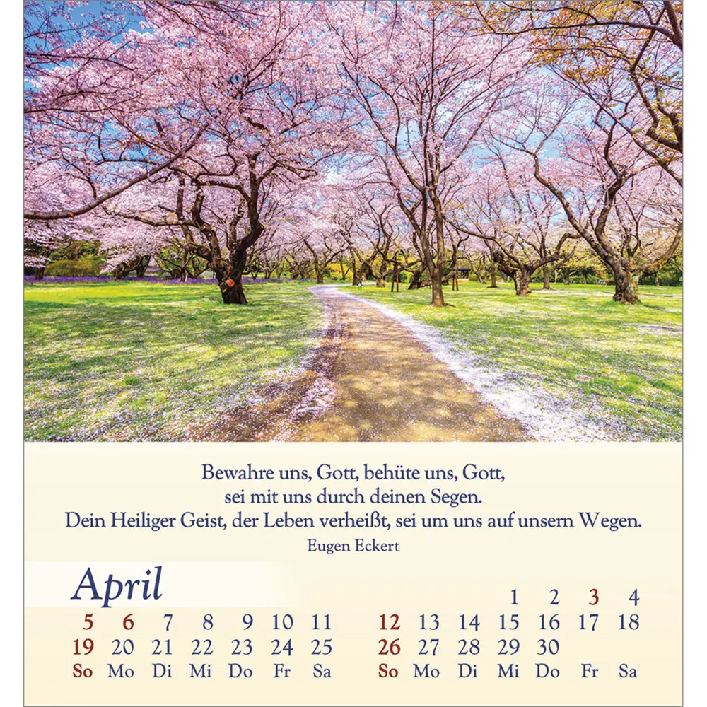 Bild: 9783754834060 | Licht für deine Seele 2026 | Kalender | Spiralbindung | Deutsch | 2026
