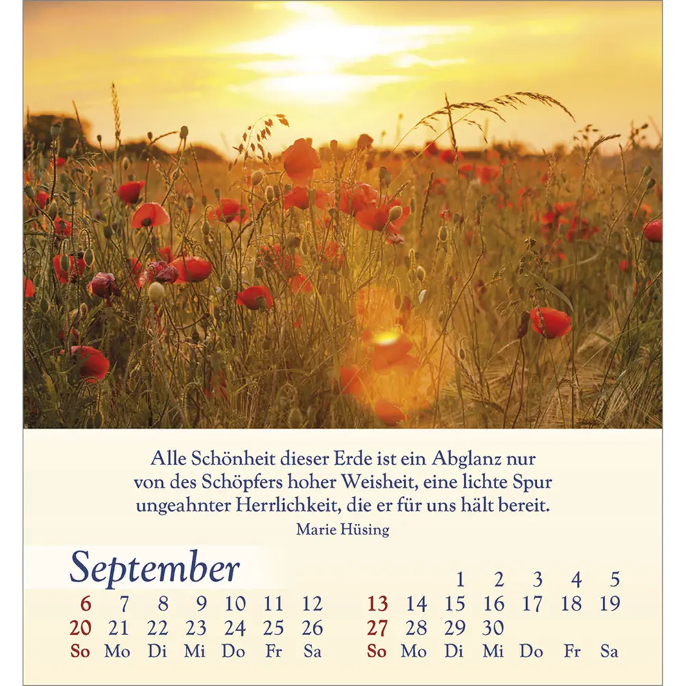 Bild: 9783754834060 | Licht für deine Seele 2026 | Kalender | Spiralbindung | Deutsch | 2026