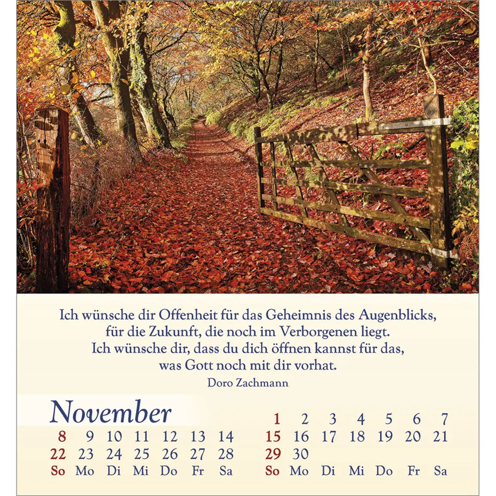 Bild: 9783754834060 | Licht für deine Seele 2026 | Kalender | Spiralbindung | Deutsch | 2026