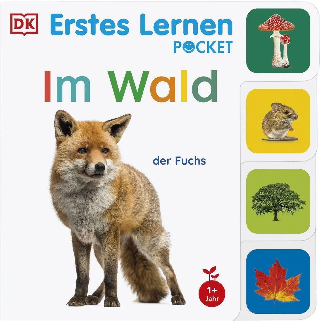 Cover: 9783831054060 | Erstes Lernen Pocket. Im Wald | DK Erstes Lernen | Buch | 10 S. | 2026