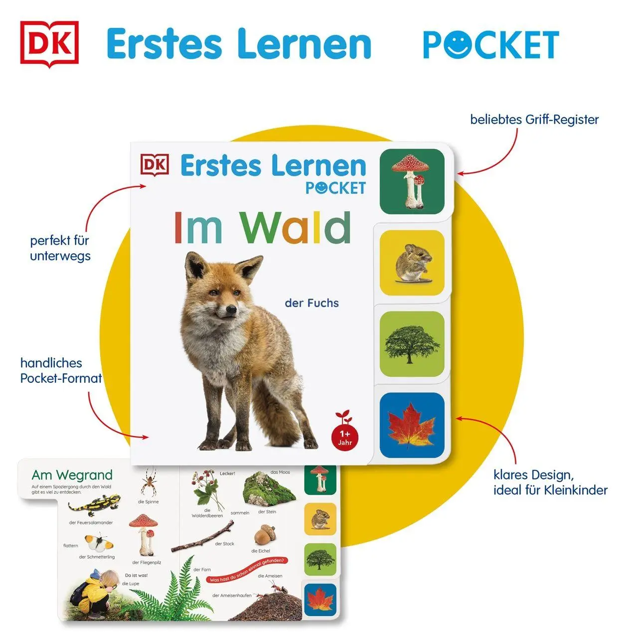 Bild: 9783831054060 | Erstes Lernen Pocket. Im Wald | DK Erstes Lernen | Buch | 10 S. | 2026