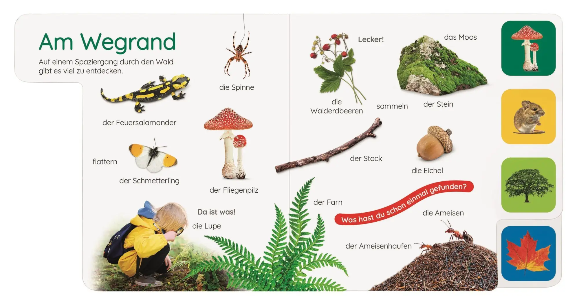 Bild: 9783831054060 | Erstes Lernen Pocket. Im Wald | DK Erstes Lernen | Buch | 10 S. | 2026