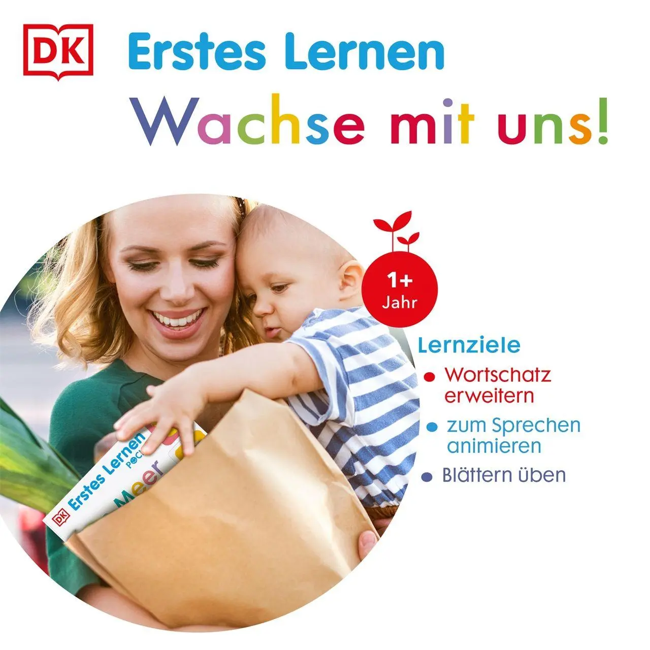 Bild: 9783831054060 | Erstes Lernen Pocket. Im Wald | DK Erstes Lernen | Buch | 10 S. | 2026