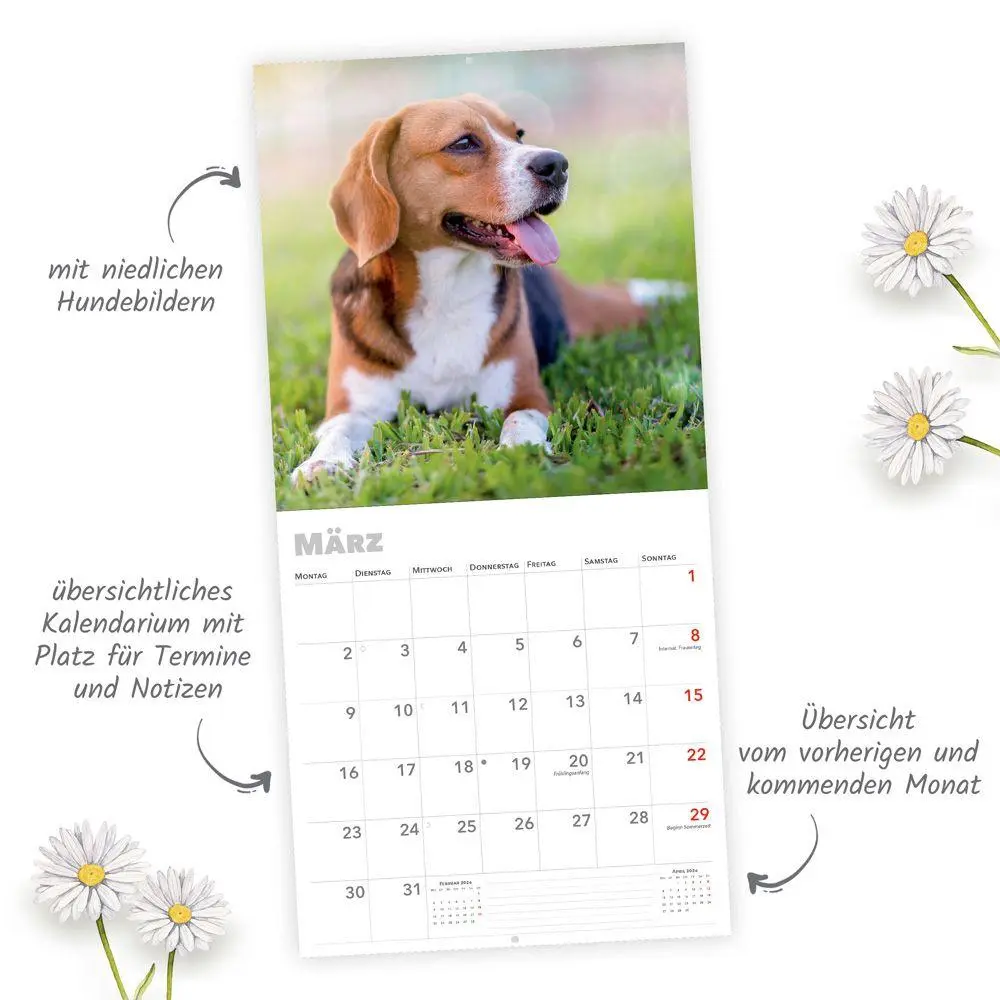 Bild: 9783988024060 | Trötsch Broschürenkalender Hunde 2026 | Wandplaner | KG | Kalender