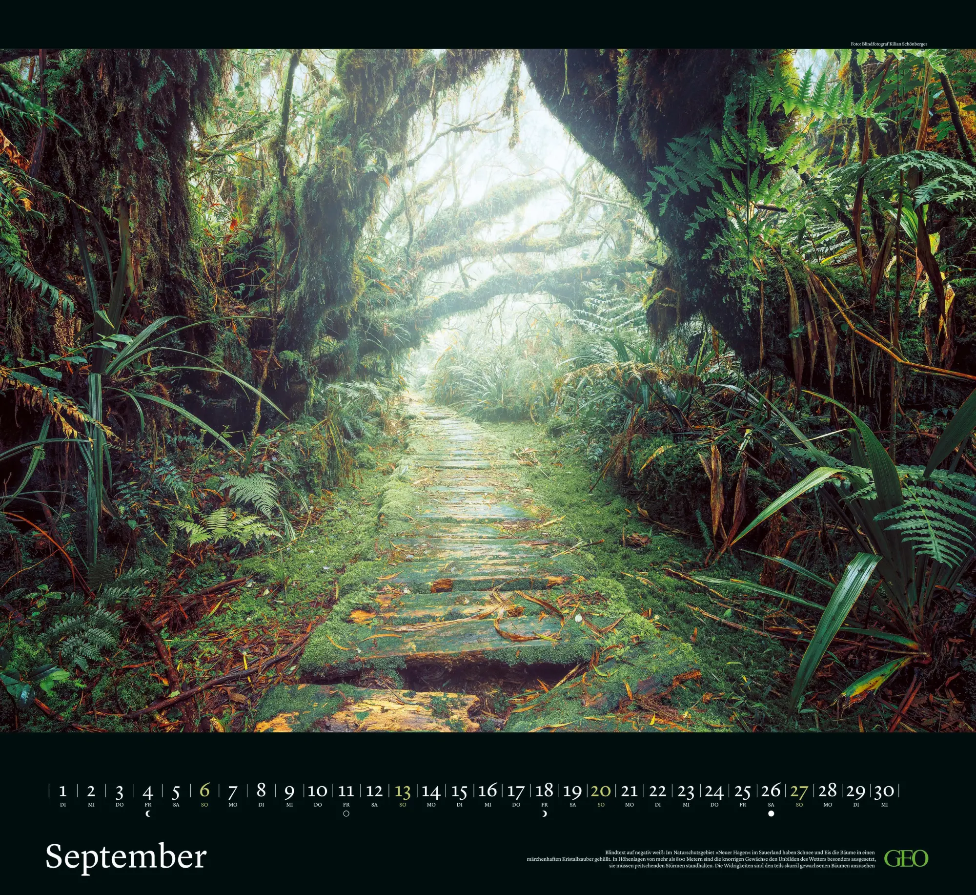 Bild: 4069095004160 | GEO Klassiker: Traumpfade 2026 - Wand-Kalender - Reise-Kalender -...