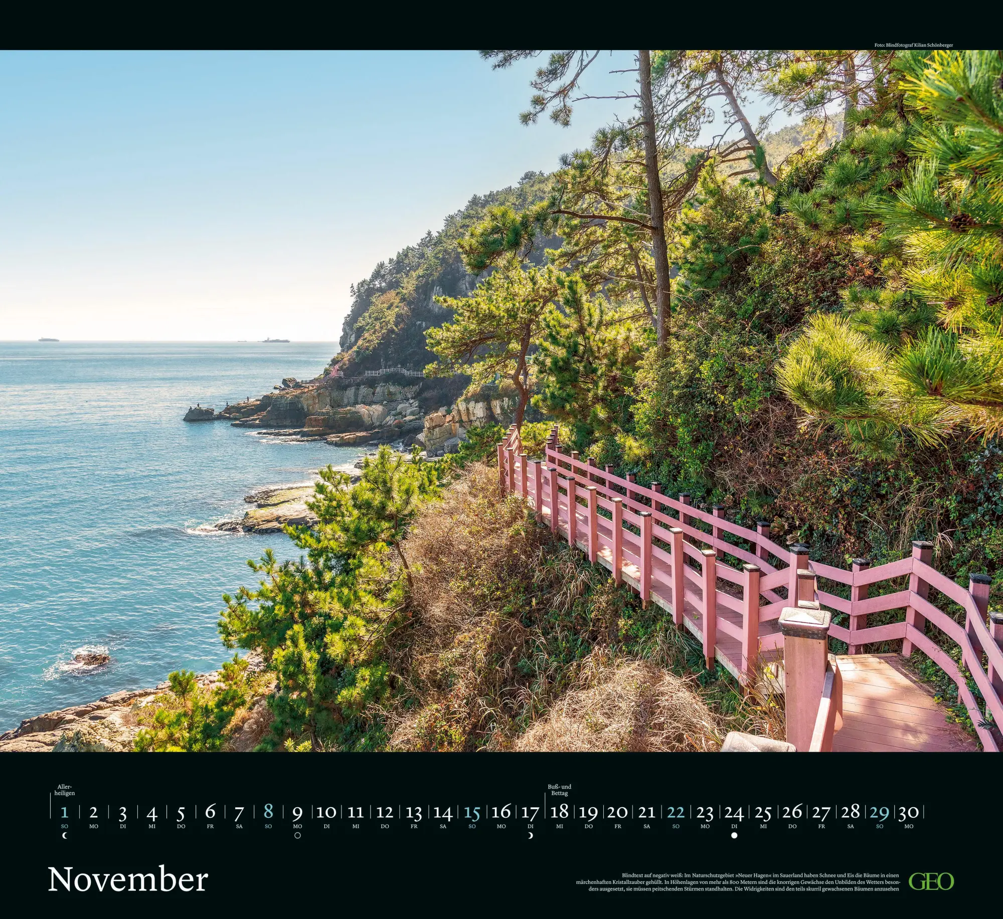 Bild: 4069095004160 | GEO Klassiker: Traumpfade 2026 - Wand-Kalender - Reise-Kalender -...