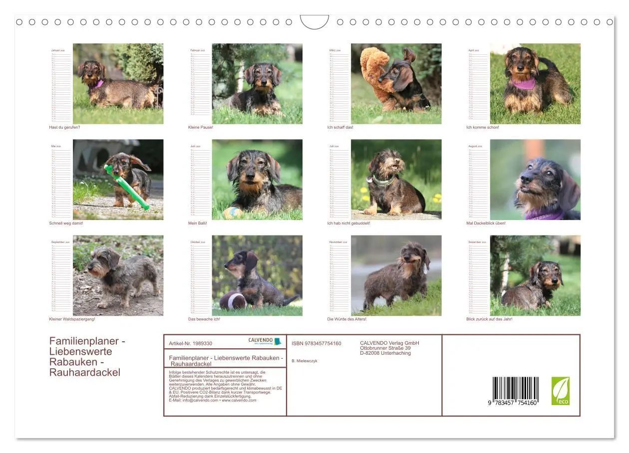 Bild: 9783457754160 | Familienplaner - Liebenswerte Rabauken - Rauhaardackel...