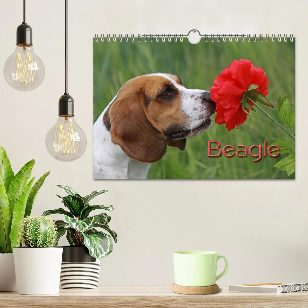 Bild: 9783516154160 | Beagle (Wandkalender 2026 DIN A4 quer), CALVENDO Monatskalender | Berg