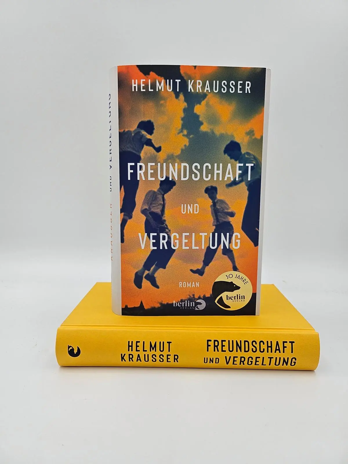 Bild: 9783827014160 | Freundschaft und Vergeltung | Helmut Krausser | Buch | 352 S. | 2024
