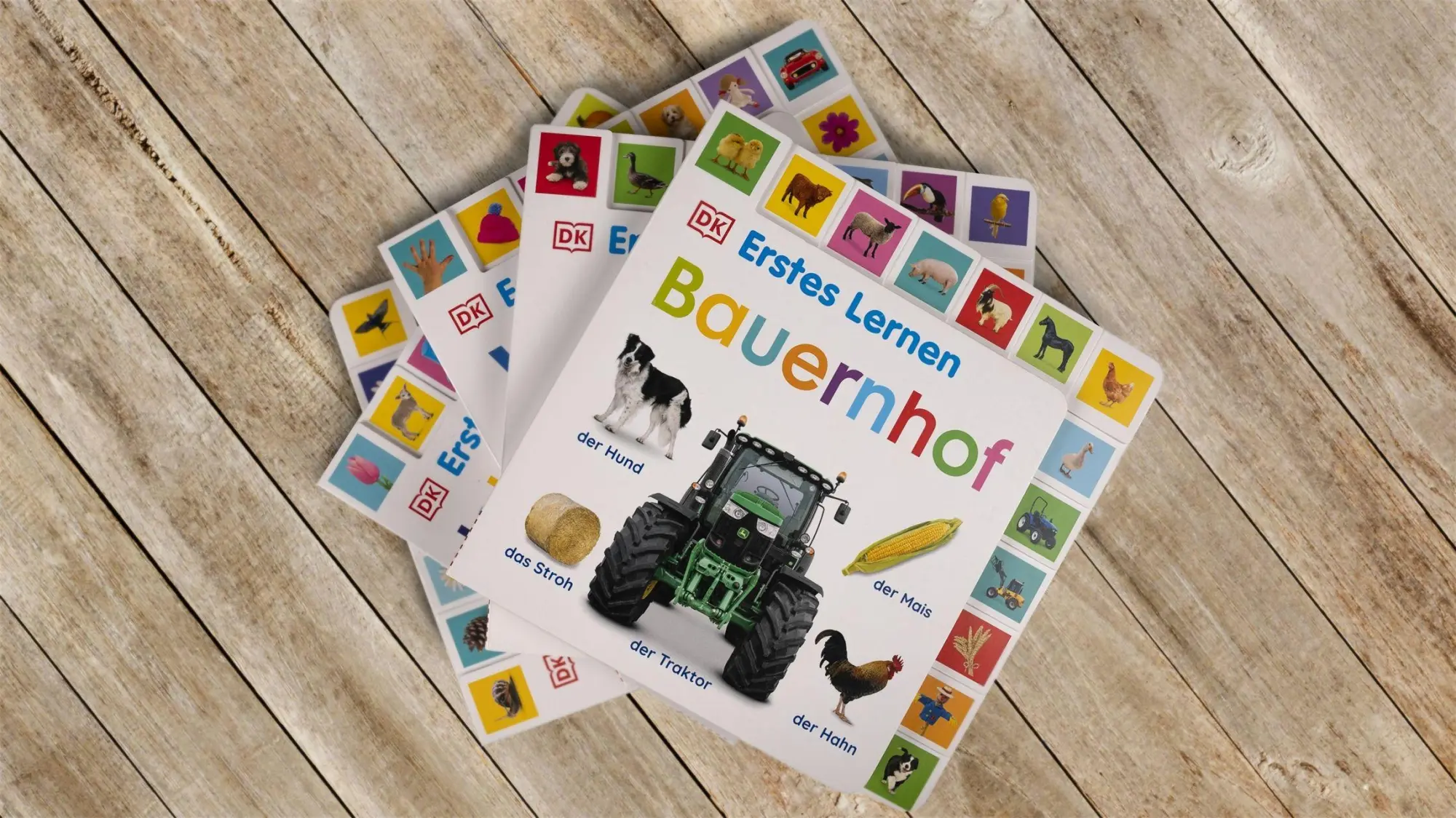 Bild: 9783831044160 | Erstes Lernen. Tiere | DK Erstes Lernen | Buch | Erstes Lernen | 28 S.