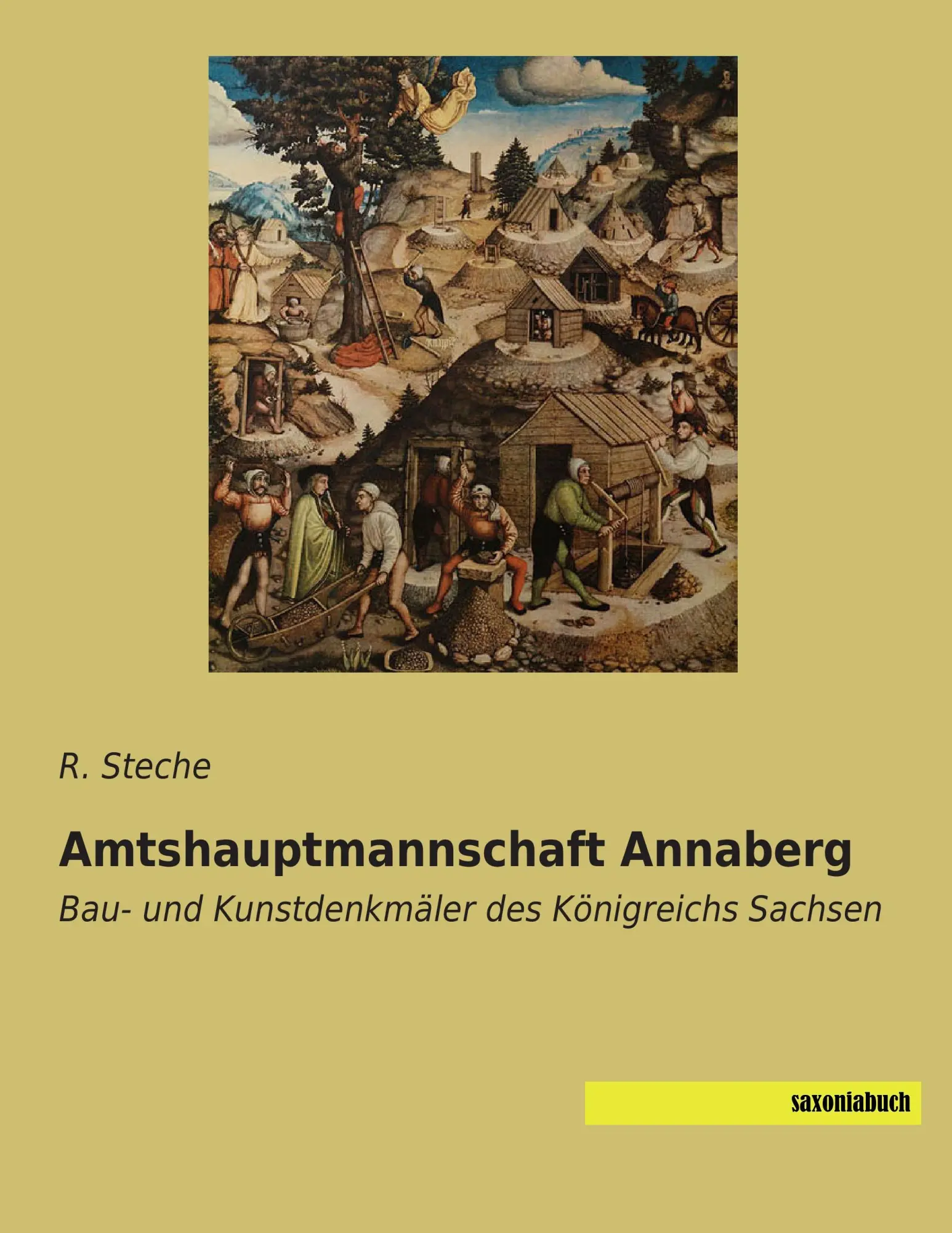 Cover: 9783957704160 | Amtshauptmannschaft Annaberg | R. Steche | Taschenbuch | 120 S. | 2015