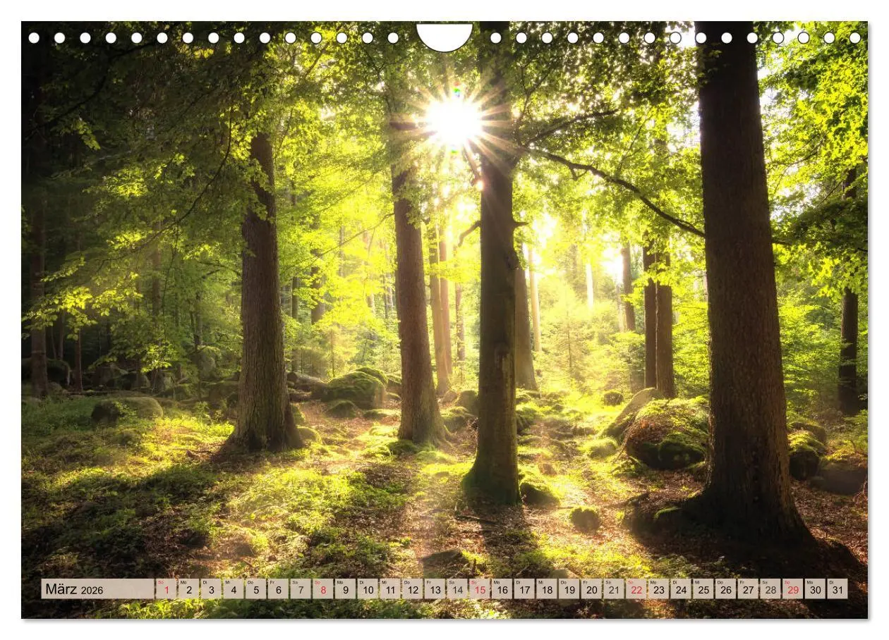 Bild: 9783457744260 | Leise durch den Wald. Sich Zeit nehmen und der Stille lauschen...