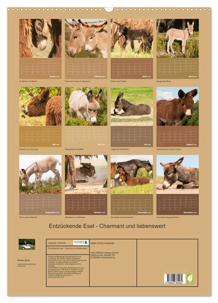 Bild: 9783516384260 | Entzückende Esel - Charmant und liebenswert (Wandkalender 2026 DIN...
