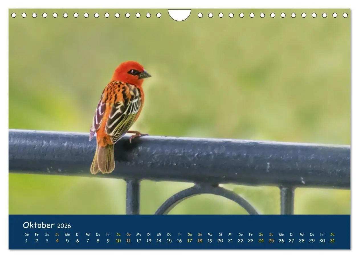 Bild: 9783516694260 | Faszinierende Tierwelt von Mauritius - Magische Momente der Natur...