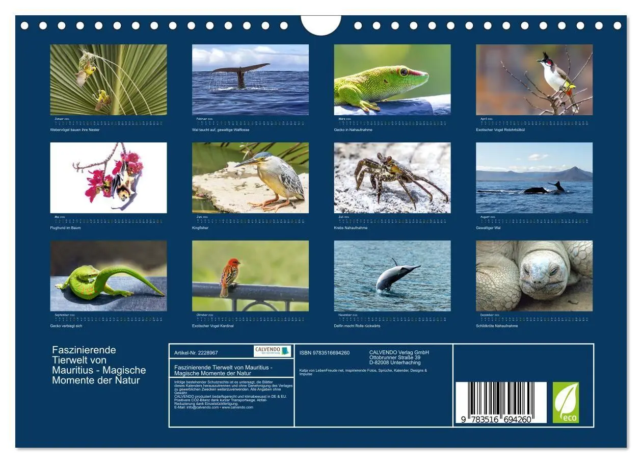 Bild: 9783516694260 | Faszinierende Tierwelt von Mauritius - Magische Momente der Natur...
