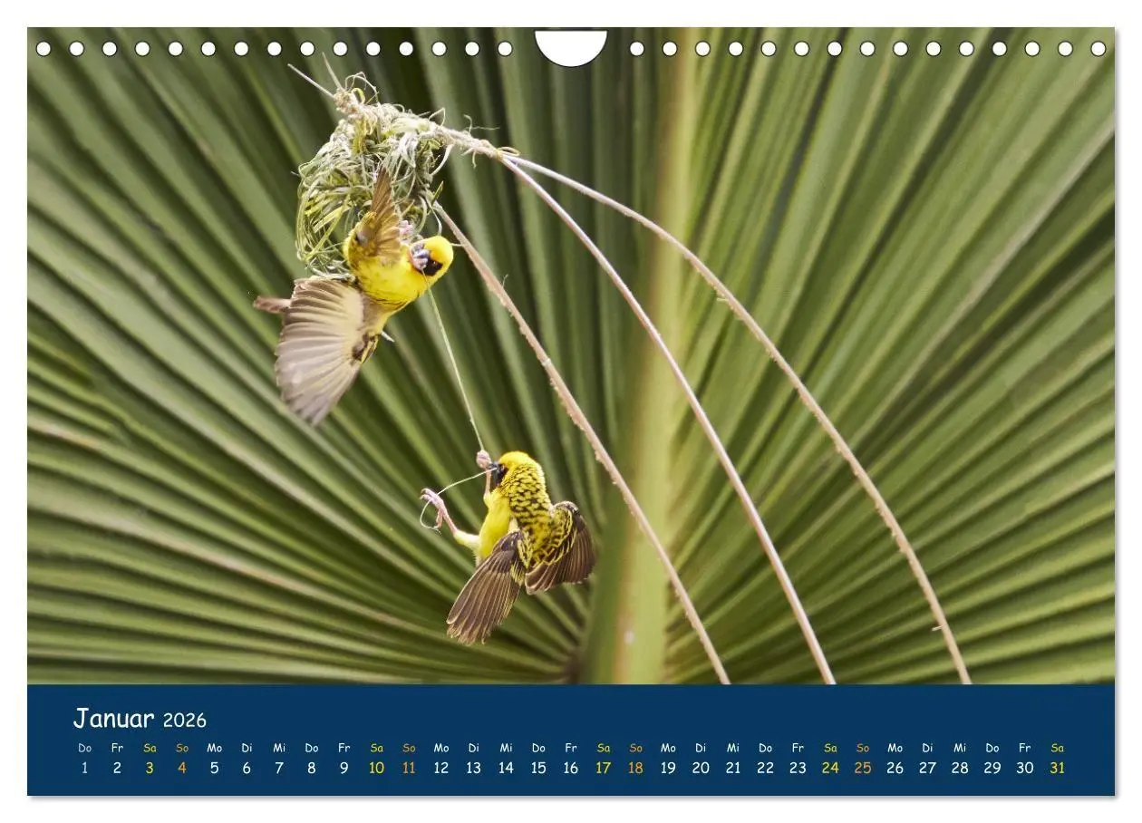 Bild: 9783516694260 | Faszinierende Tierwelt von Mauritius - Magische Momente der Natur...