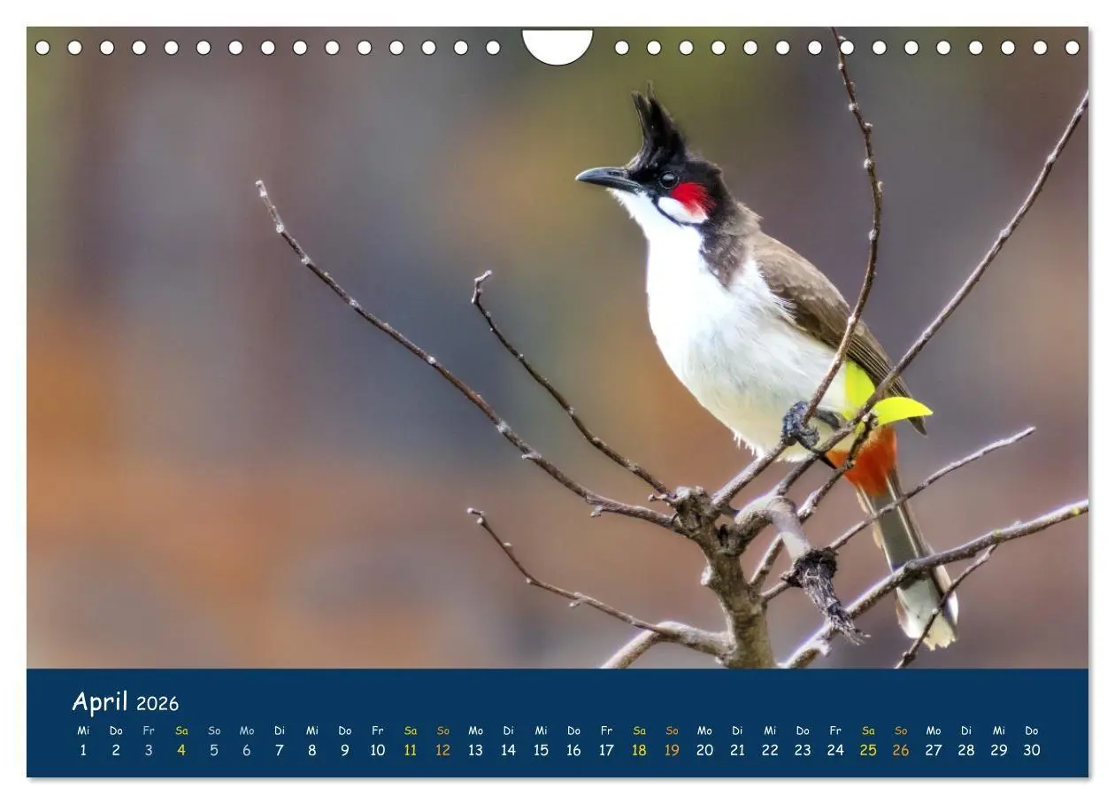 Bild: 9783516694260 | Faszinierende Tierwelt von Mauritius - Magische Momente der Natur...