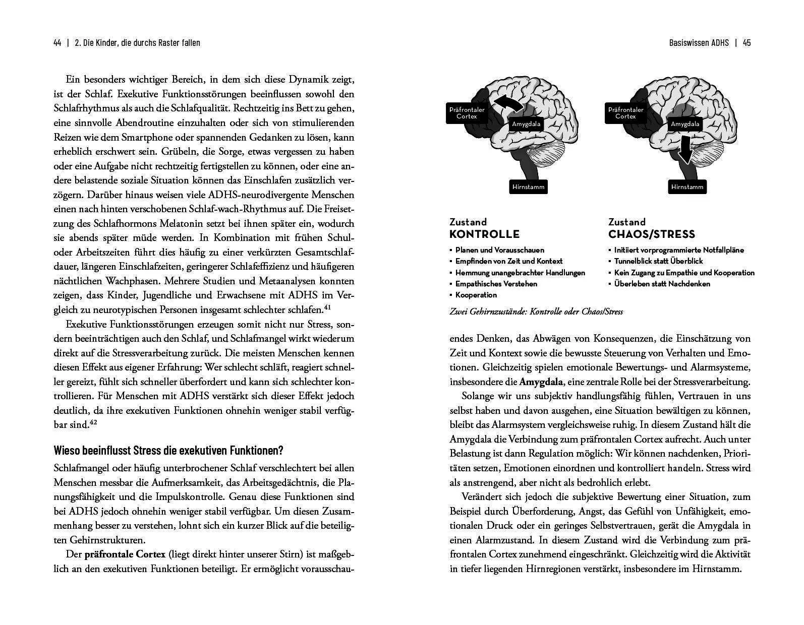 Bild: 9783969054260 | Kinder, die durchs Raster fallen | Corina Elfe | Taschenbuch | 272 S.