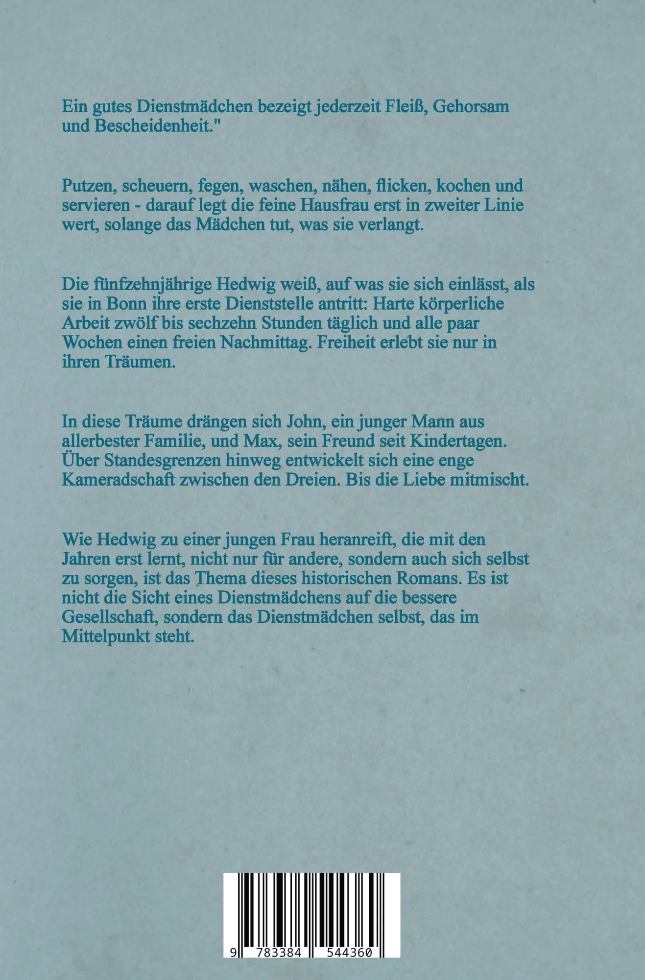 Rückseite: 9783384544360 | Hedwig 1882 - Aufbruch ins Leben | Ein Dienstmädchen im Kaiserreich