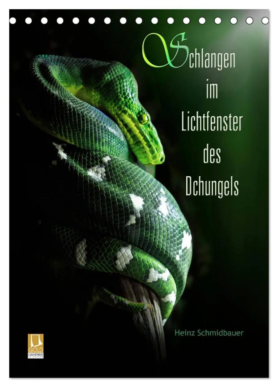 Cover: 9783516444360 | Schlangen im Lichtfenster des Dschungels (Tischkalender 2026 DIN A5...