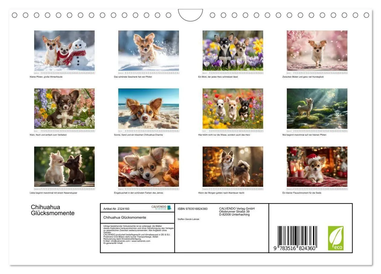 Bild: 9783516824360 | Chihuahua Glücksmomente (Wandkalender 2027 DIN A4 quer), CALVENDO...