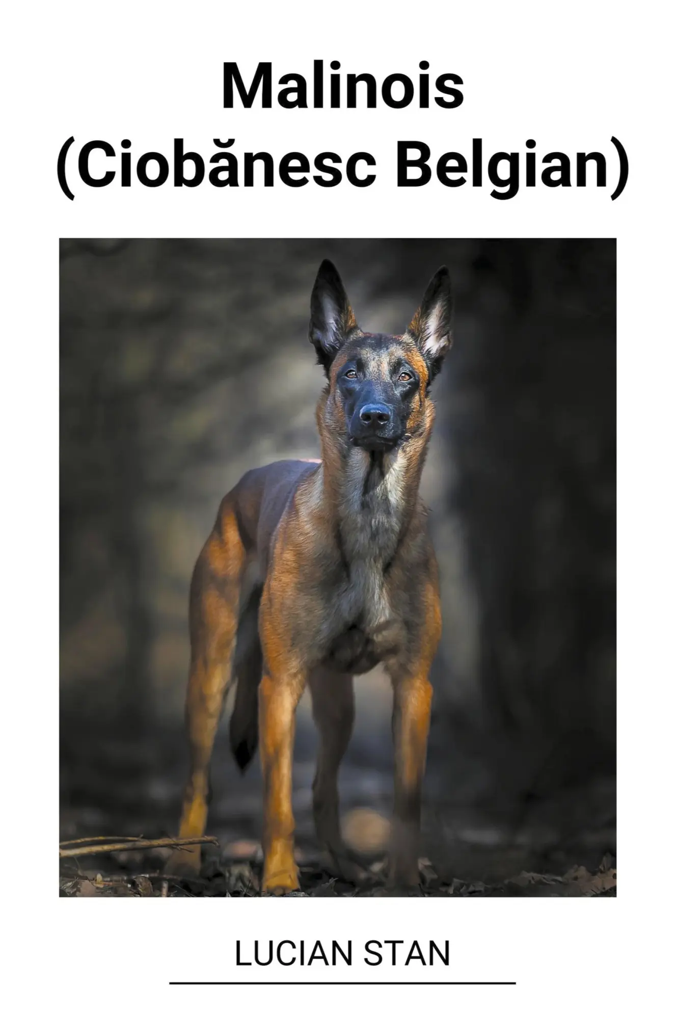 Cover: 9798215974360 | Malinois (Ciob¿nesc Belgian) | Lucian Stan | Taschenbuch | Rumänisch