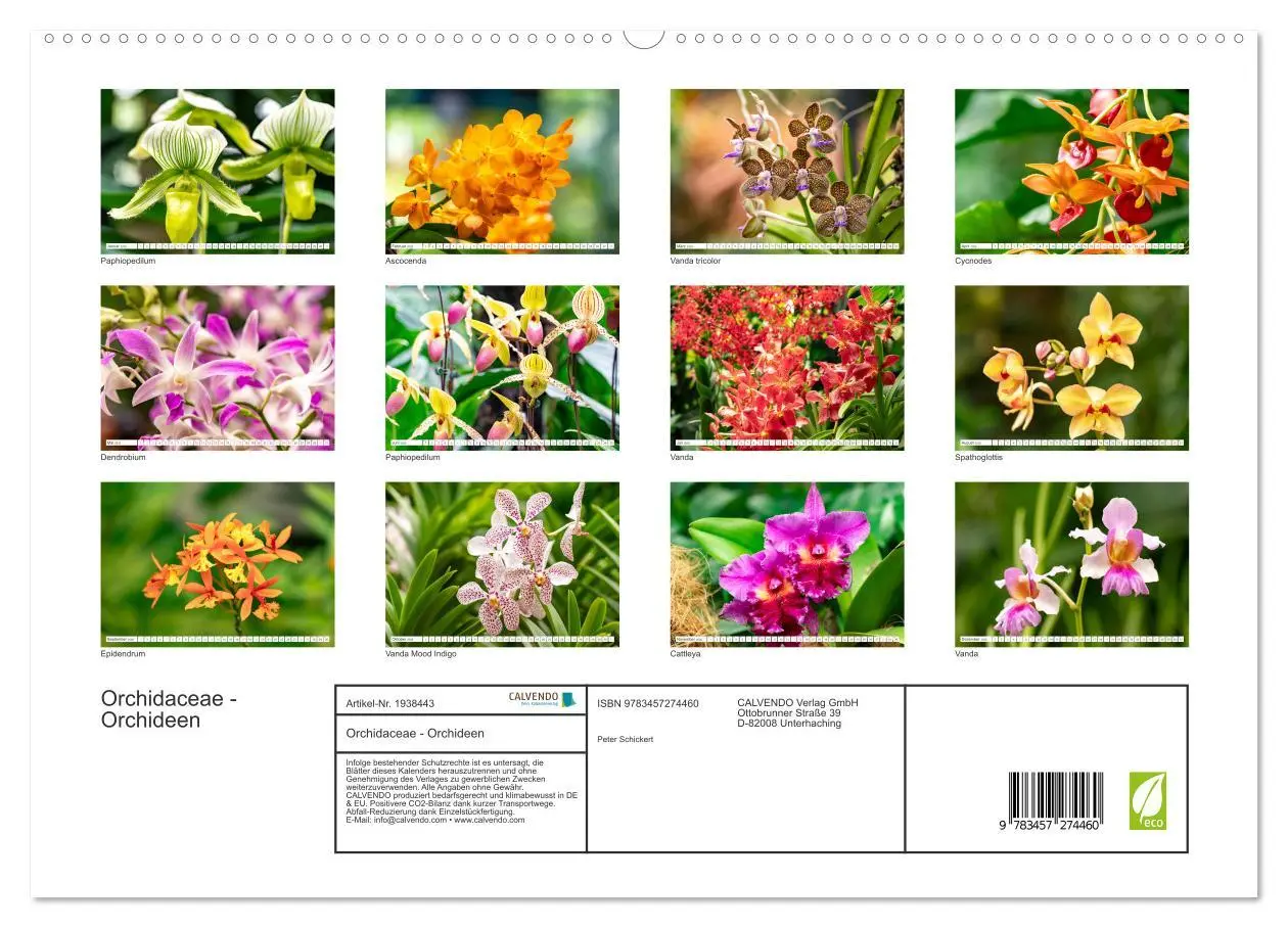 Bild: 9783457274460 | Orchidaceae - Orchideen (hochwertiger Premium Wandkalender 2026 DIN...