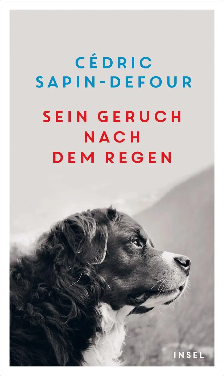 Cover: 9783458644460 | Sein Geruch nach dem Regen | Cédric Sapin-Defour | Buch | 253 S.