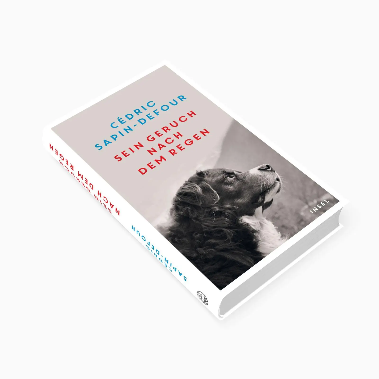 Bild: 9783458644460 | Sein Geruch nach dem Regen | Cédric Sapin-Defour | Buch | 253 S.