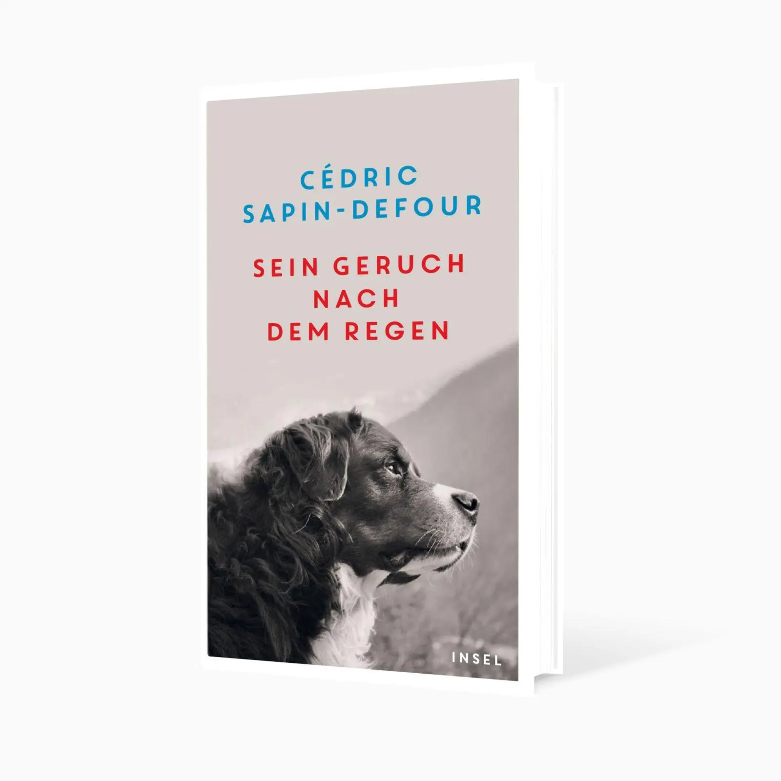 Bild: 9783458644460 | Sein Geruch nach dem Regen | Cédric Sapin-Defour | Buch | 253 S.