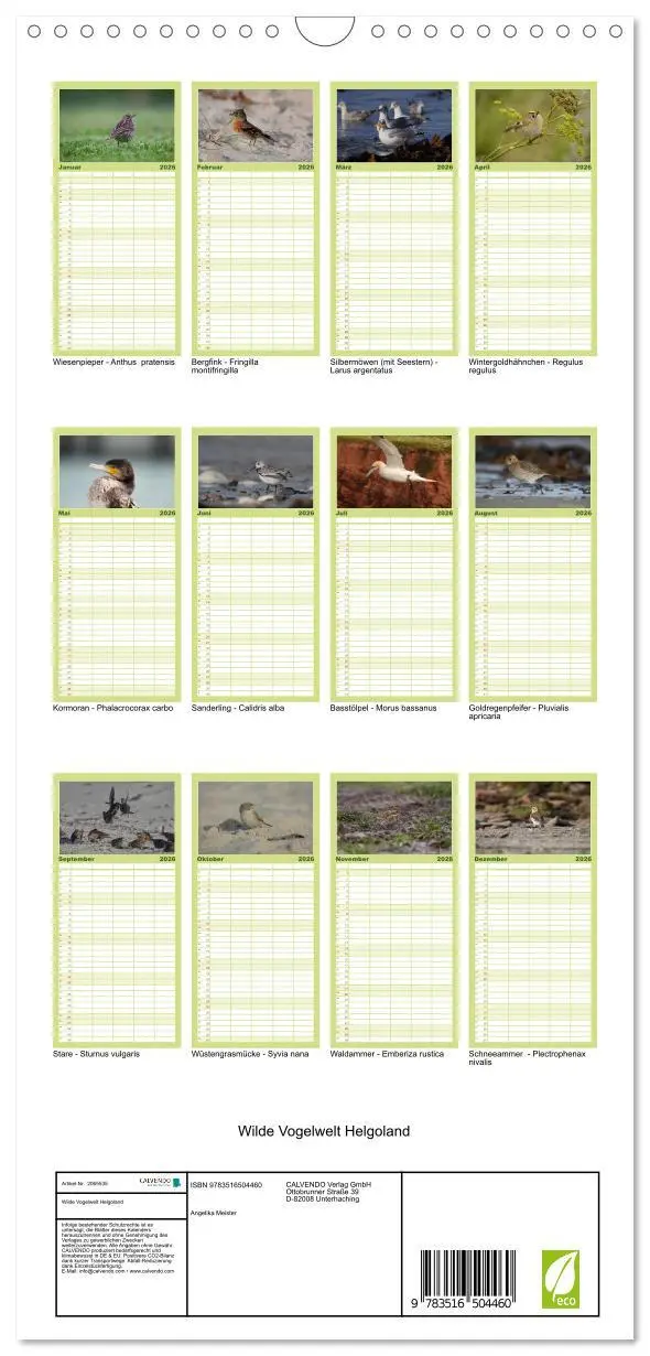 Bild: 9783516504460 | Familienplaner 2026 - Wilde Vogelwelt Helgoland mit 5 Spalten...