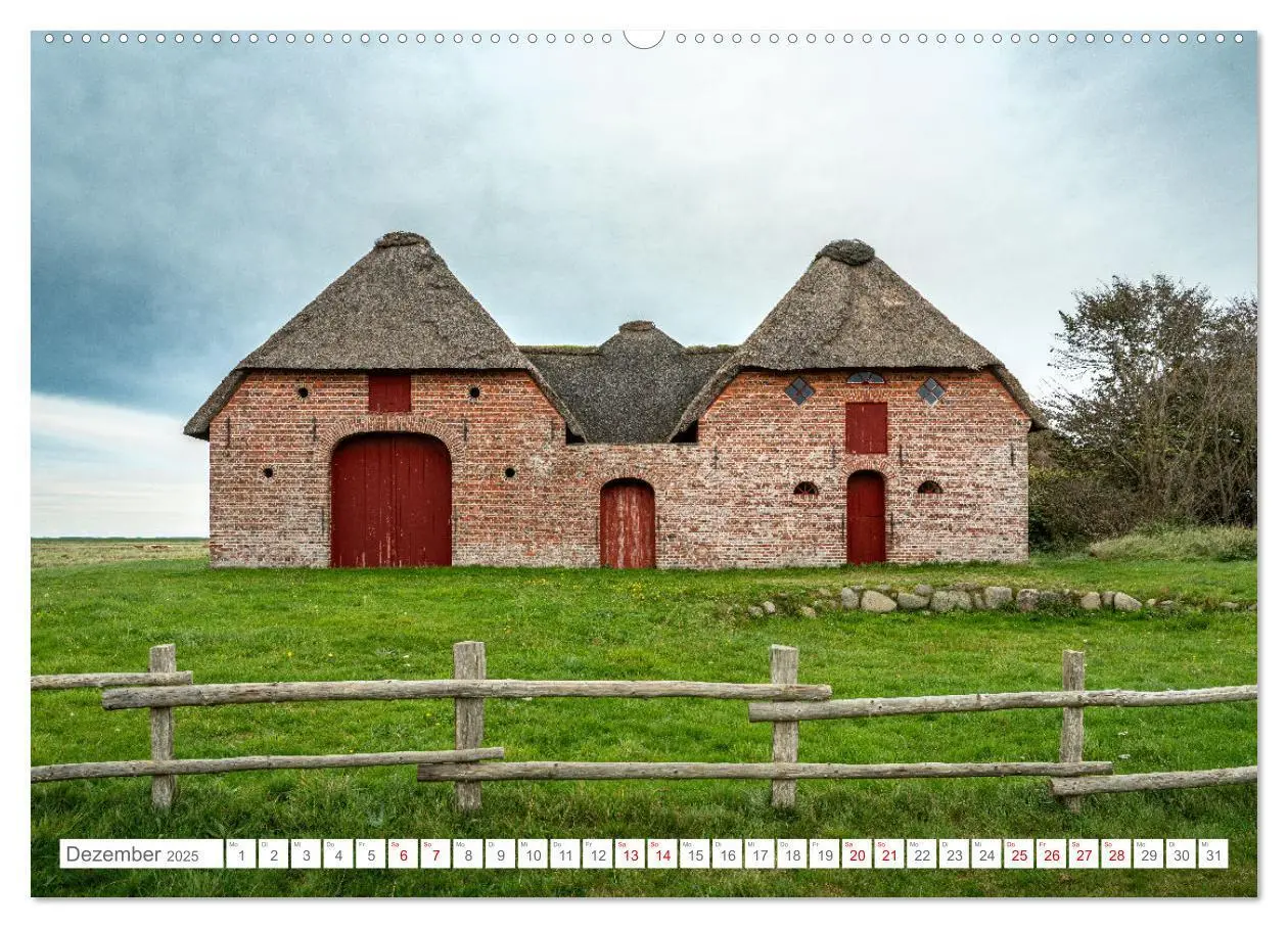 Bild: 9783383844560 | Naturerlebnis Rømø (Wandkalender 2025 DIN A2 quer), CALVENDO...