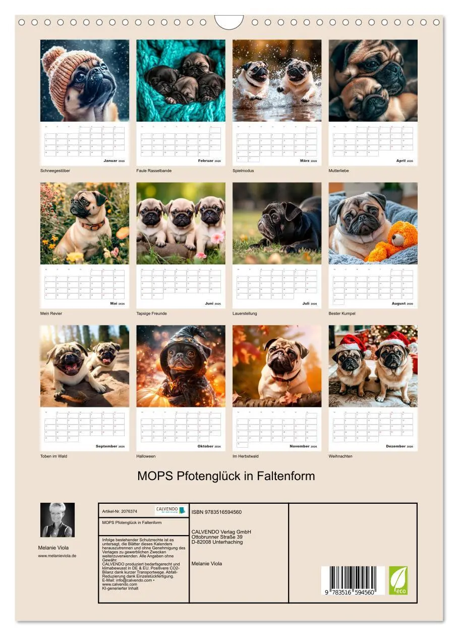 Bild: 9783516594560 | MOPS Pfotenglück in Faltenform (Wandkalender 2026 DIN A3 hoch),...