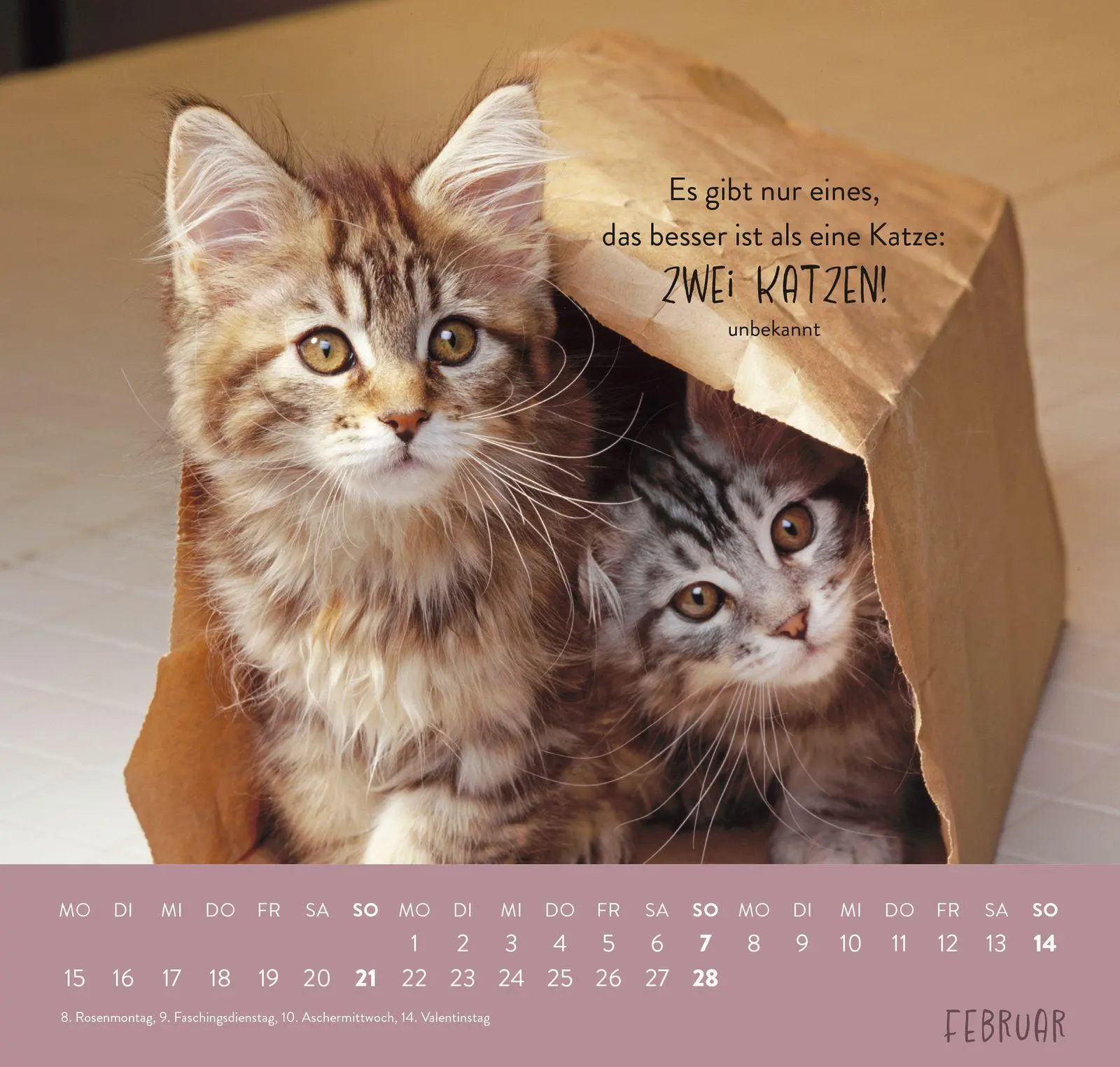 Bild: 4036442014660 | Wandkalender 2027: Für Katzenfreunde | Groh Verlag | Kalender | 12 S.
