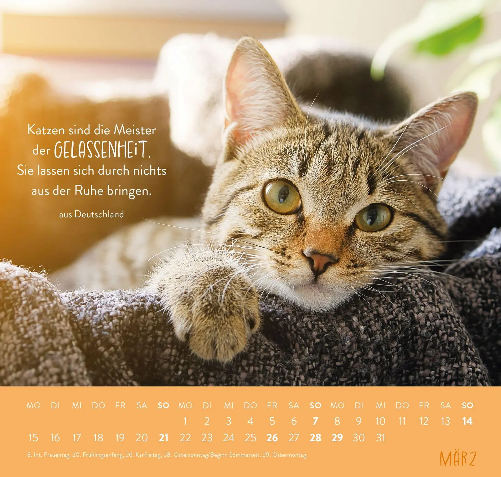 Bild: 4036442014660 | Wandkalender 2027: Für Katzenfreunde | Groh Verlag | Kalender | 12 S.