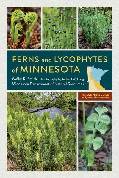 Cover: 9781517914660 | Ferns and Lycophytes of Minnesota | Welby R Smith | Taschenbuch | 2023
