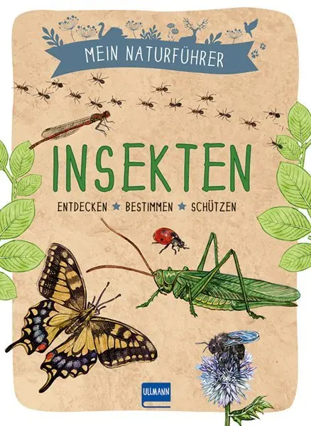 Cover: 9783741524660 | Mein Naturführer - Insekten | Entdecken - bestimmen - schützen | Buch