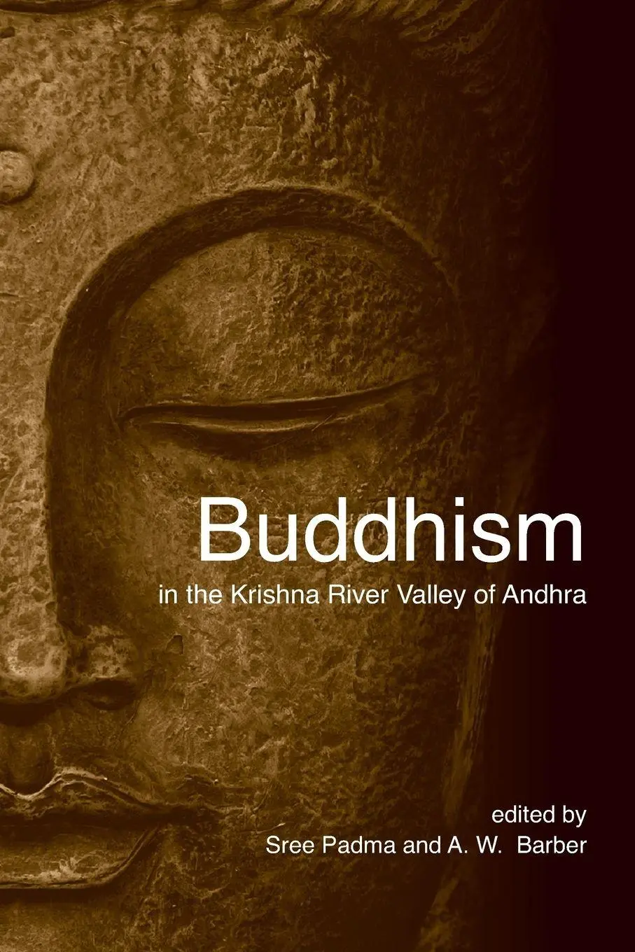 Cover: 9780791474860 | Buddhism in the Krishna River Valley of Andhra | Holt (u. a.) | Buch