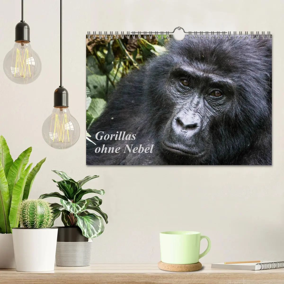 Bild: 9783457854860 | Gorillas ohne Nebel (Wandkalender 2026 DIN A4 quer), CALVENDO...