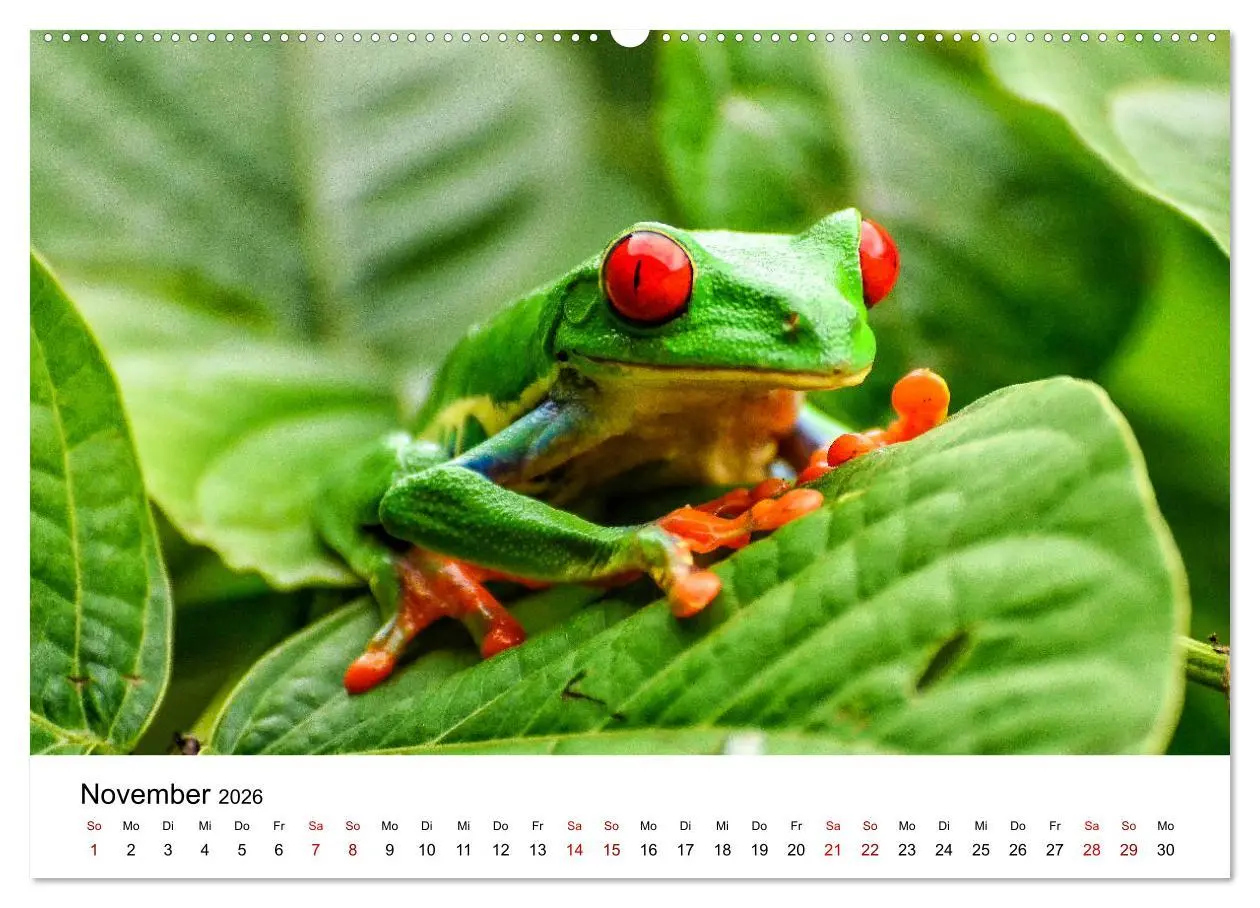 Bild: 9783457924860 | Costa Rica - das Naturparadies (Wandkalender 2026 DIN A2 quer),...
