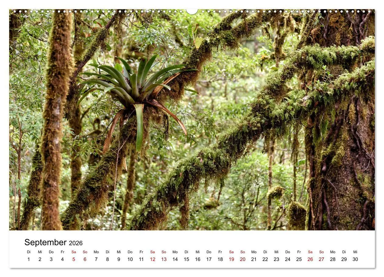 Bild: 9783457924860 | Costa Rica - das Naturparadies (Wandkalender 2026 DIN A2 quer),...