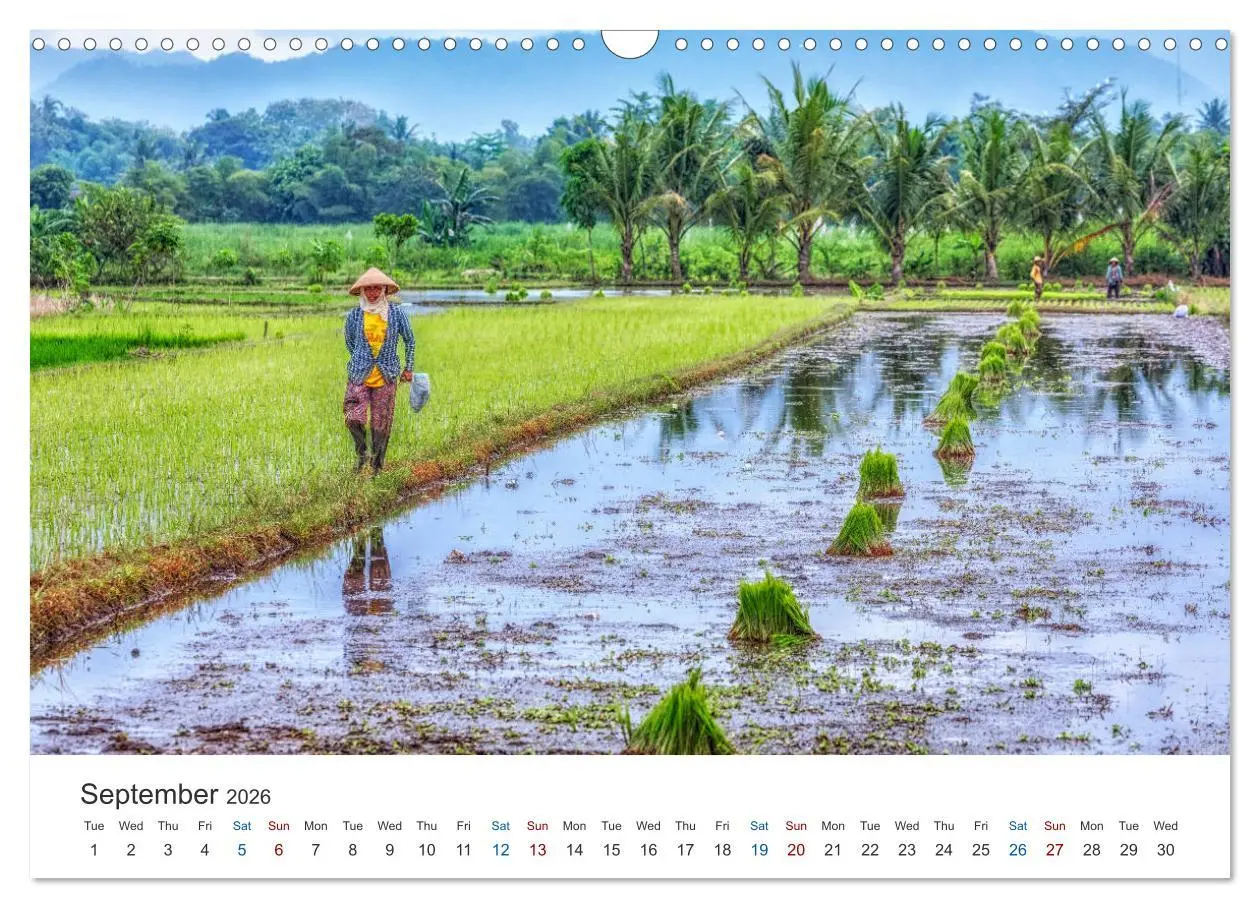 Bild: 9783516564860 | Java, Indonesian Island in the Ring of Fire (Wall Calendar 2026 DIN...