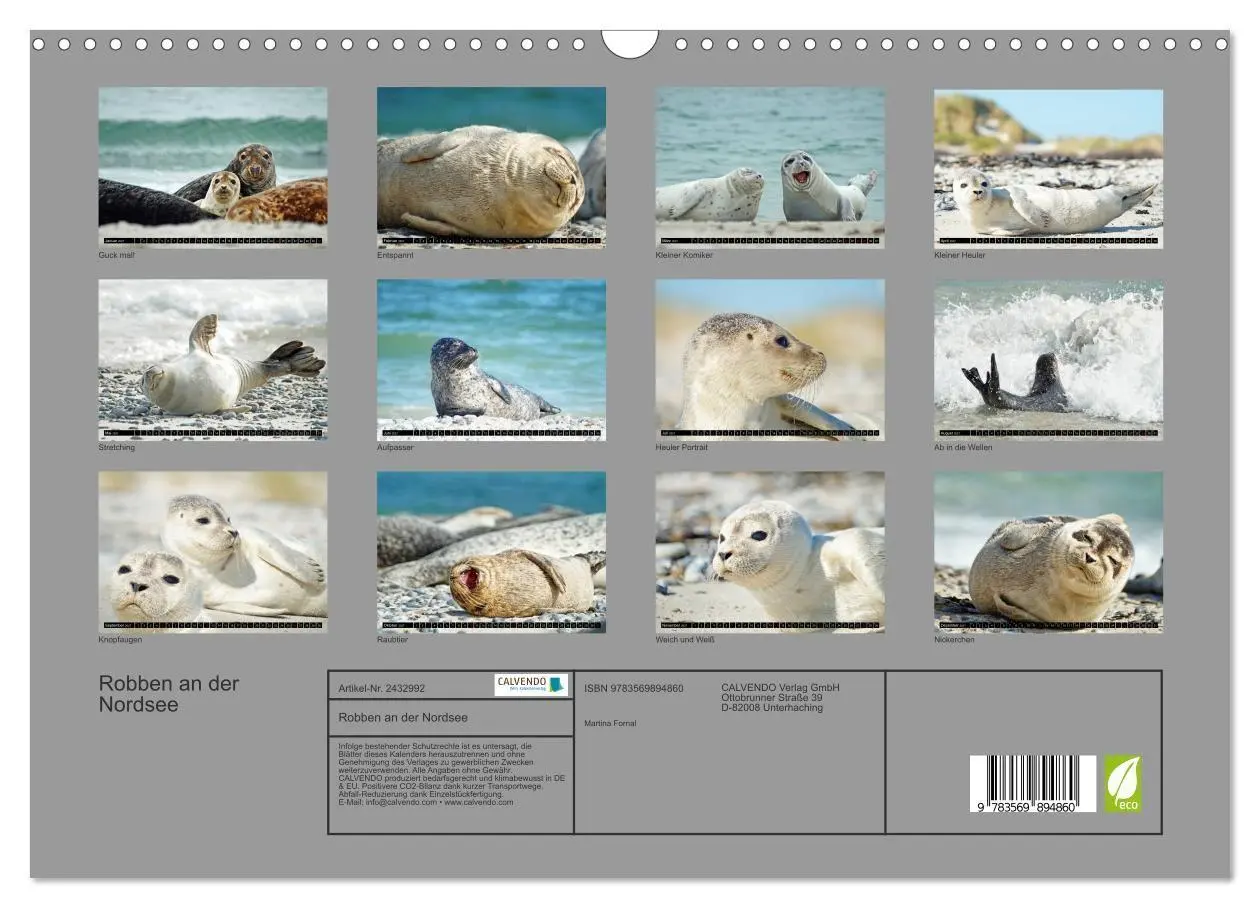 Bild: 9783569894860 | Robben an der Nordsee (Wandkalender 2027 DIN A3 quer), CALVENDO...