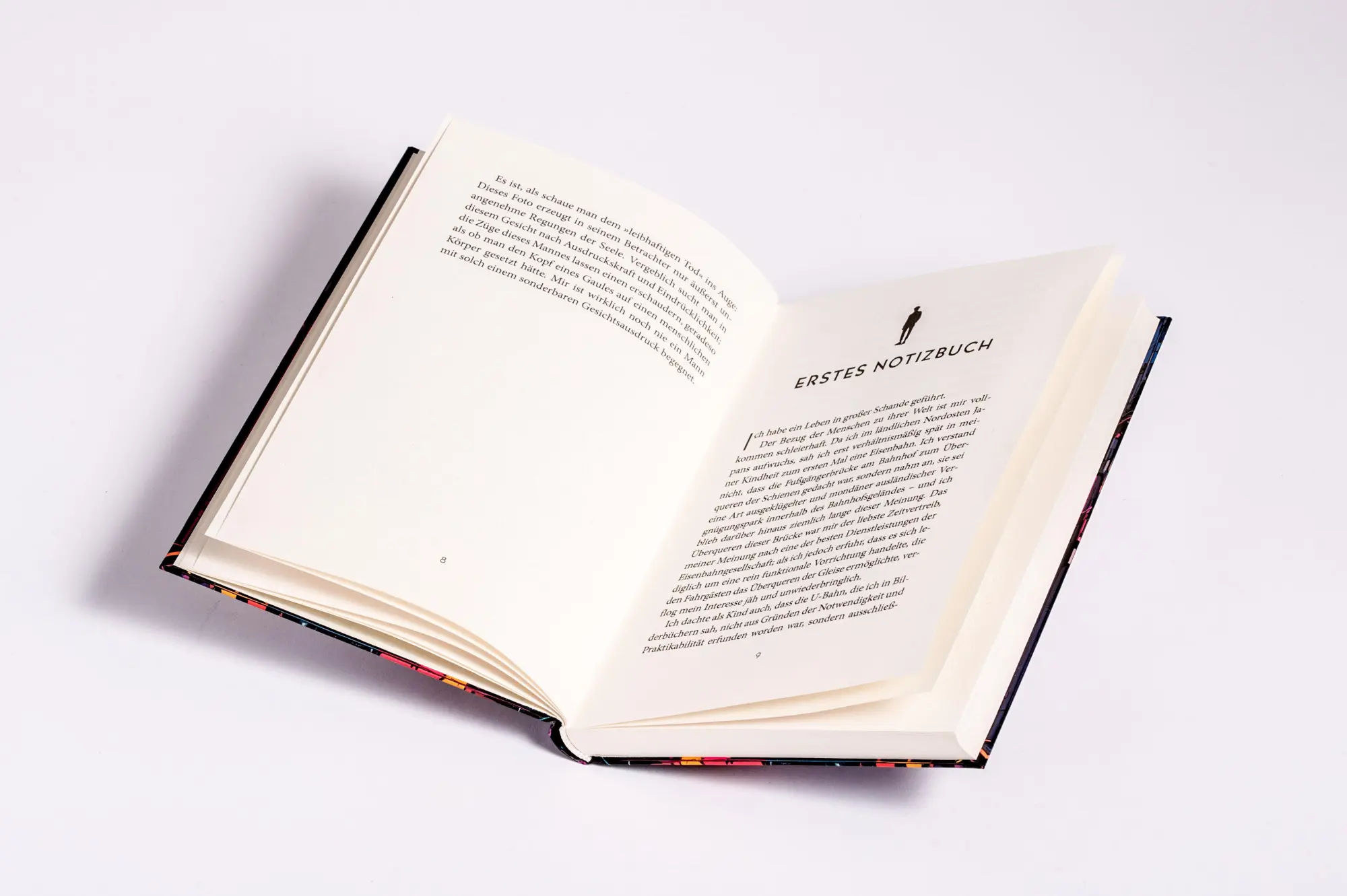 Bild: 9783730614860 | Nicht länger ein Mensch. Roman. Das Kultbuch aus Japan | Osamu Dazai